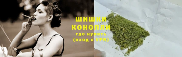 гидропоника Медногорск