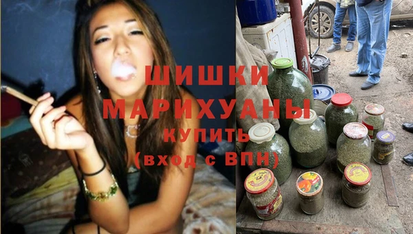 гидропоника Медногорск