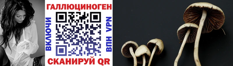 Псилоцибиновые грибы Psilocybe  blacksprut tor  Еманжелинск 