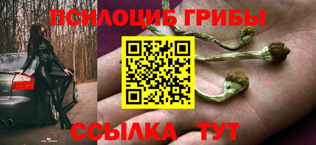 Галлюциногенные грибы Psilocybine cubensis Еманжелинск