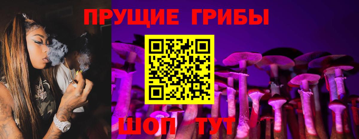 Псилоцибиновые грибы Cubensis  Еманжелинск 